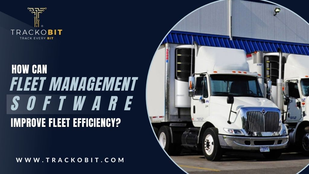 How Can Fleet Management Software Improve Fleet Efficiency?