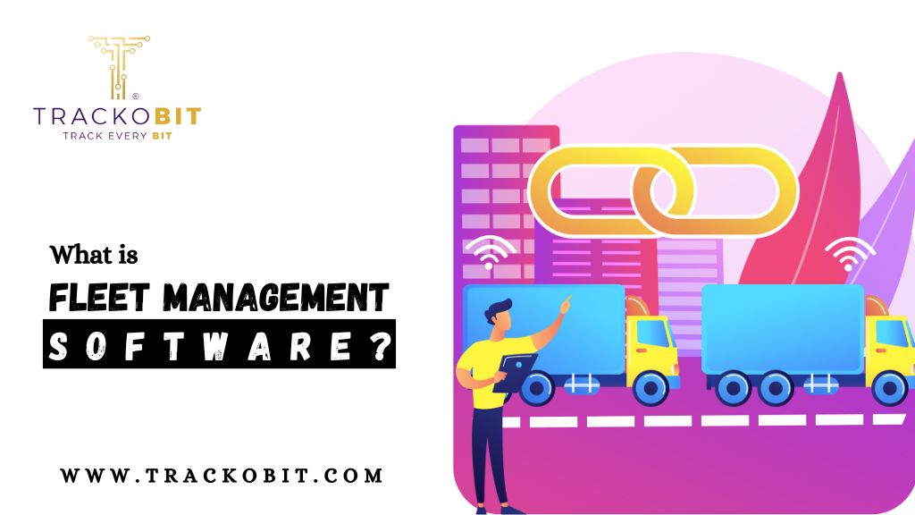 What Is Fleet Management Software?